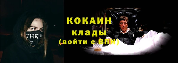 гашик Богданович