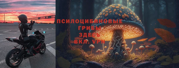 ECSTASY Алексин