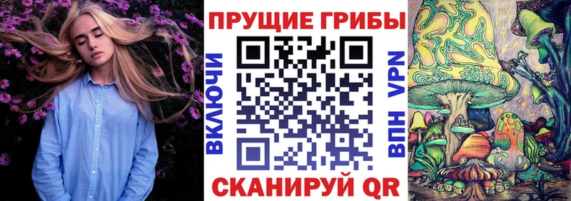 Псилоцибиновые грибы Magic Shrooms  даркнет сайт  Североуральск 